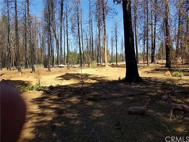 2nd image of 13812 S Park Dr