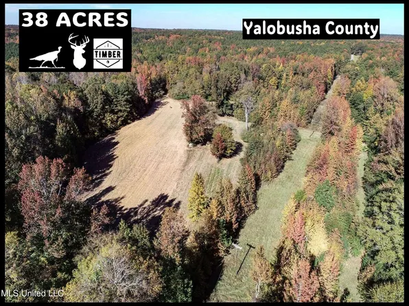 County Road 212 Old Water Valley Rd, Water Valley, MS 38965