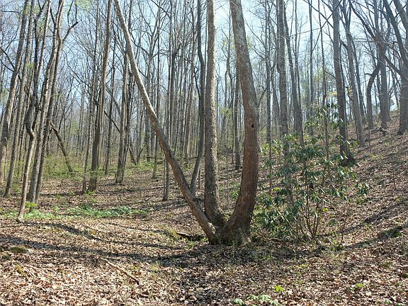 2nd image of 3578 Wolf Creek Rd