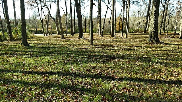 2nd image of 1 Sangamon Oaks
