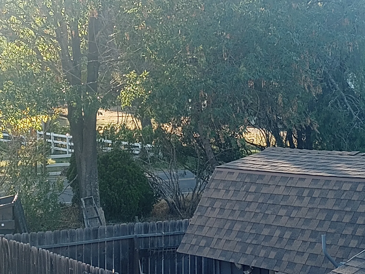 Rainbow Valley Blvd, Fallbrook — Photo 3
