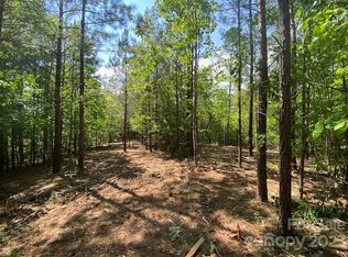 213 High Meadows Ln #29, Rutherfordton, NC 28139