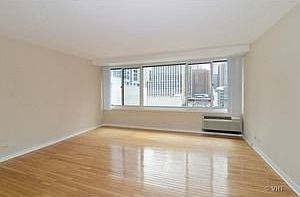 4th image of 211 E Ohio St APT 1214