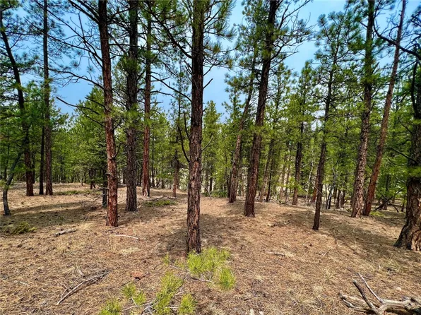 TBD Corral Lane, Florissant, CO 80816