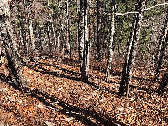 2nd image of 5 Chestnut Ridge Ct Lot 5