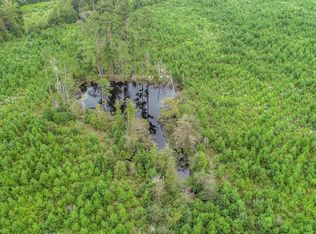 4 Fm 726, Jefferson, TX 75657