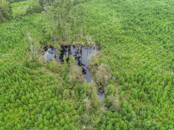 4 Fm 726, Jefferson, TX 75657