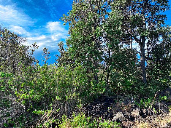 4th image of Sea Breeze Pkwy Lot 1