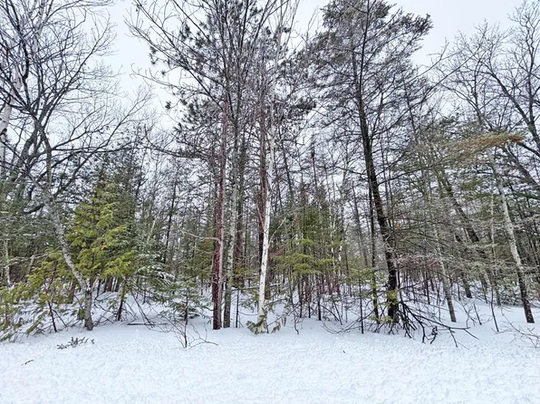 LOT 148 Pineview Dr, Presque Isle, MI 49777