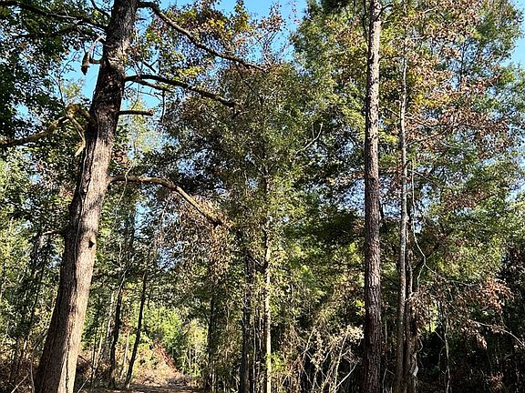 3rd image of TRACT Welch Ln #F