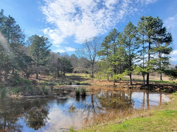 820 Blowout Mountain Rd, Pencil Bluff, AR 71965