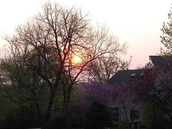 Sunrises in Winter