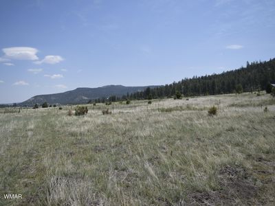 County Road 2275, Nutrioso, AZ, 85932