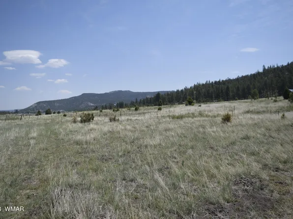 County Road 2275, Nutrioso, AZ 85932