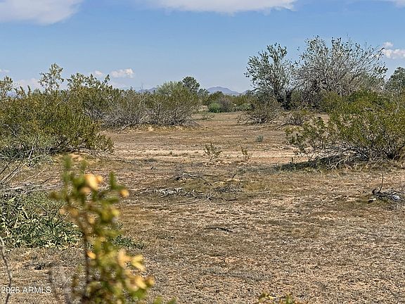 3rd image of 0 W Pampas Grass Road #4