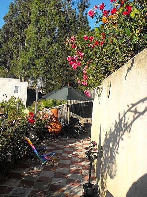 Back Yard Area