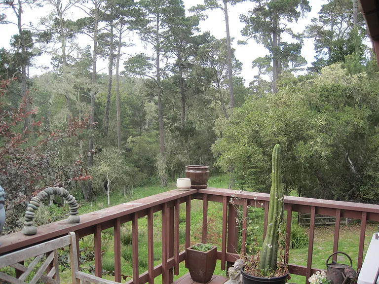 24656 Pescadero Rd — Photo 17