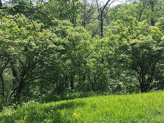 The view from the porch