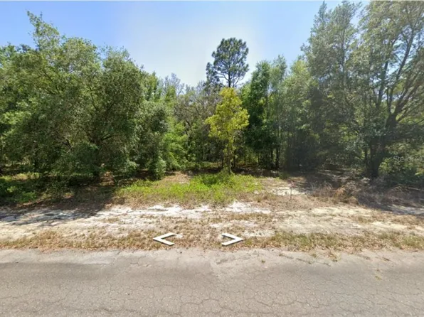 0 Guava Lane Pl #4, Ocklawaha, FL 32179