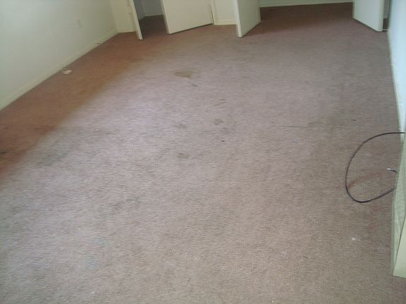 5th image of 6313 NW Elm Ave APT A