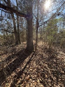 Octavia Rd #6, Smithville, OK, 74957