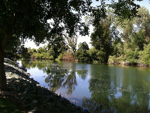 Serenity on the river