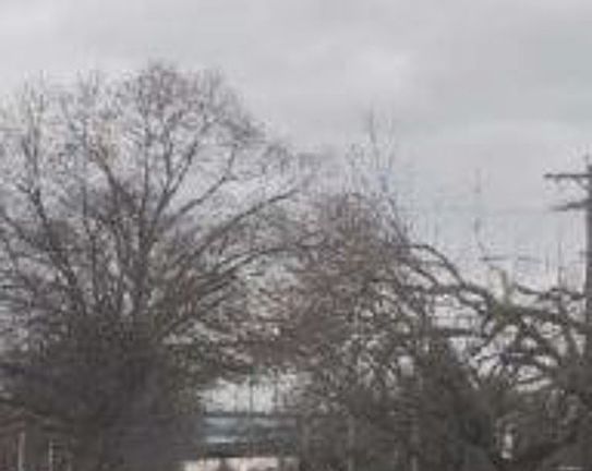 Exterior Neighborhood (street photo)