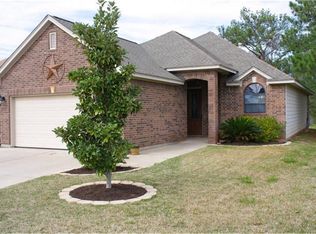14666 Ophiuchus Ct, Willis, TX 77318