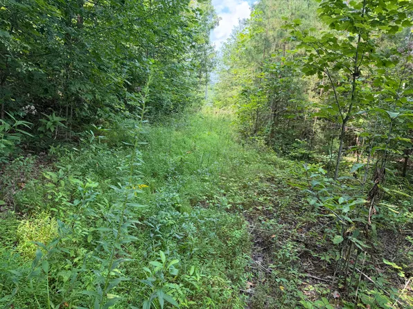 9 Tucker Hollow Rd, Monticello, KY 42633