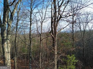 2 Century Ln, Blue Ridge, GA 30513