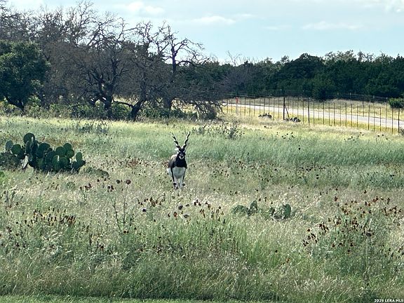 4th image of 78 Firsching LOT 78