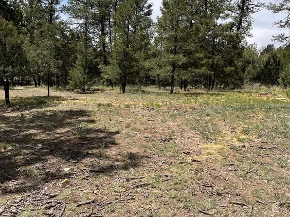 Edgewood Ct, La Luz, NM 88337