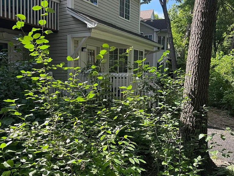 274 W Treehouse Ln — Photo 9