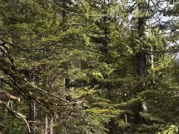 L1 W El Capitan Subdivision, Ketchikan, AK 99950