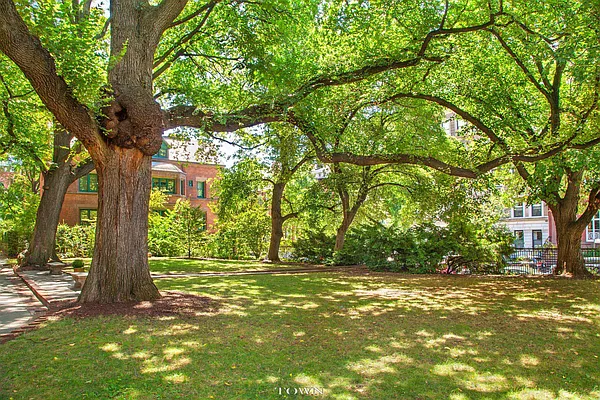 Sold by Town Residential | media 8