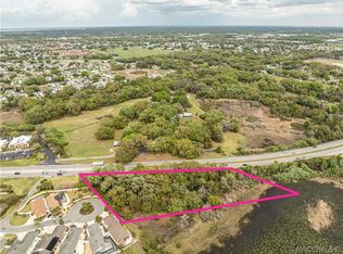 8769 E County Road 466 Rd, The Villages, FL 32162