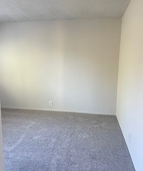 4305 Rilea Way #4 — Photo 19