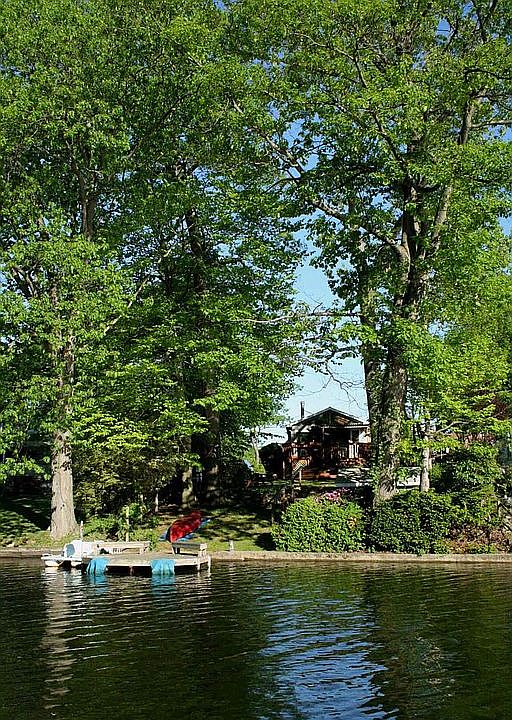 Adorable + Affordable