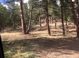 29628 Larkspur Dr, Evergreen, CO 80439
