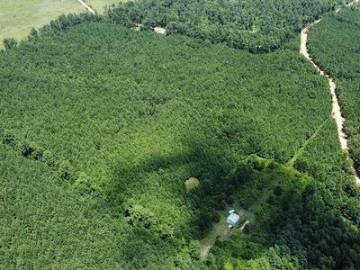 8450 Highway 189, New Edinburg, AR, 71660