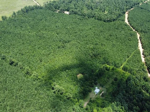 8450 Highway 189, New Edinburg, AR 71660