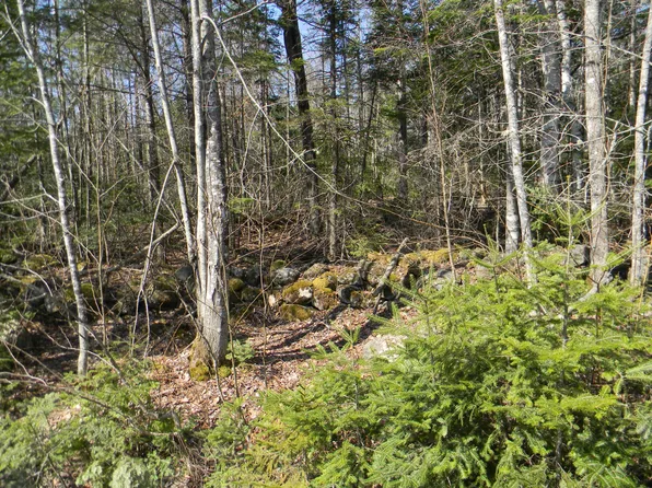 0 lot Pease, Map 4 Lot 4 Road, Cambridge, ME 04923