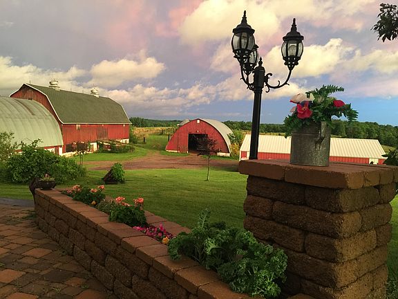 BEAUTIFUL BACKYARD