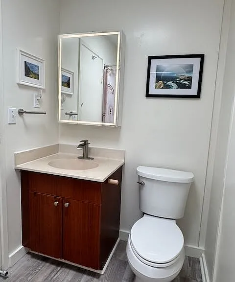 Full bathroom commode and vanity with lighted medicine cabinet.