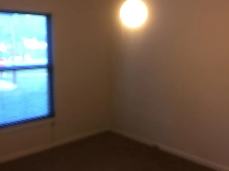 558 Artemis Dr — Photo 6