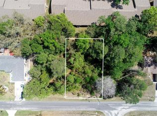 1 Tomahawk Ave, Spring Hill, FL 34606