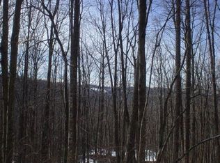 123 S Hickory Ln, Banner Elk, NC 28604