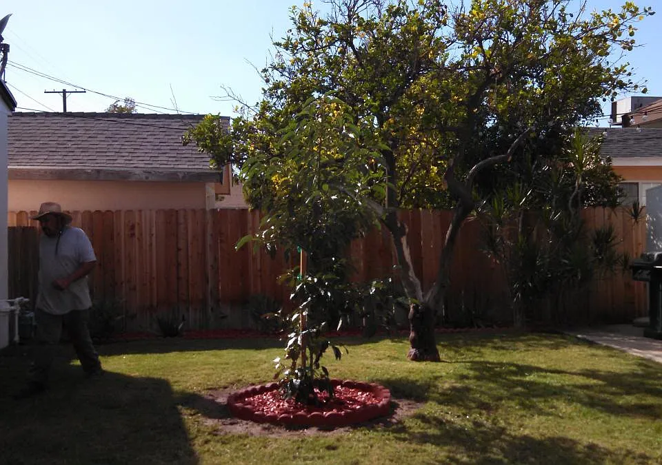 View at Mid Yard