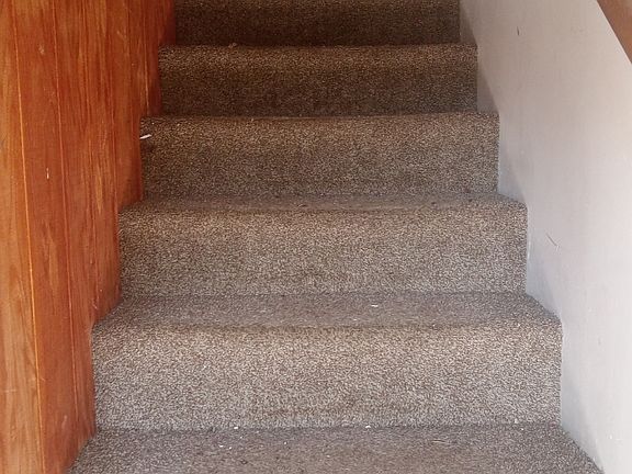 3rd image of 710 W College St APT 4