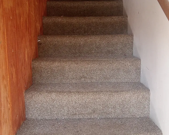 710 W College St #4 — Photo 3